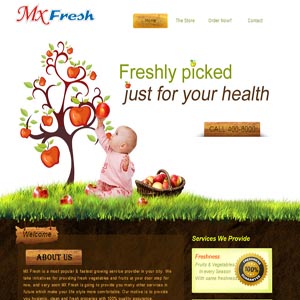 MX FRESH (E-COMMERCE WEBSITE)